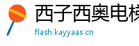 西子西奥电梯有限公司