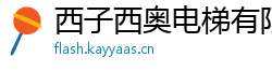 西子西奥电梯有限公司